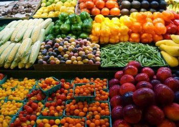 NFSA: 30,000 tonnes increase in Egypt’s food exports