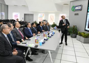 Petroleum minister follows up on gas consumption amidst hot weather wave