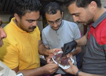 ’90 registered food products; examined 676 new products’