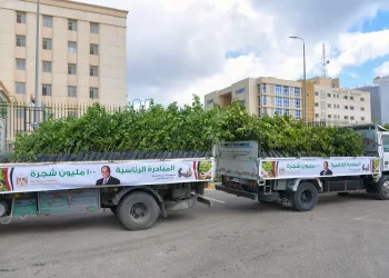 Amna: 2.5 mln trees planted in 25 governorates under ‘100 Million Trees’ initiative