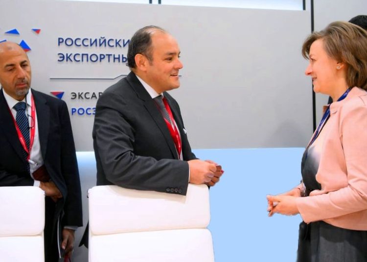Egypt, Russia discuss trade facilitation 1 - Egyptian Gazette