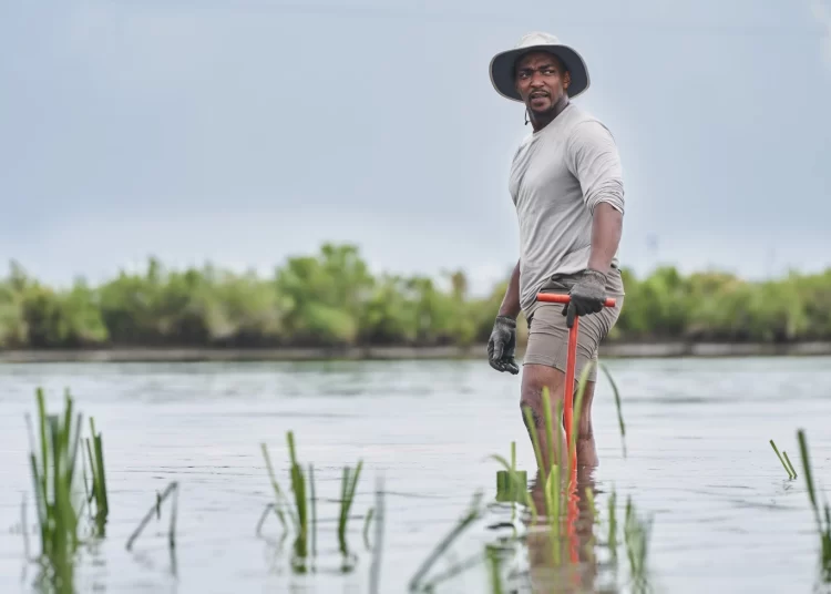 No shield required: ‘Captain America’ star Anthony Mackie’s own super power is swimming with sharks 11 - Egyptian Gazette
