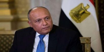 Egypt FM heads for Russia to take part in BRICS meeting