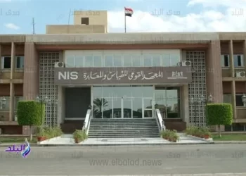 Egypt number one among African, Arab states in offering standard services – official