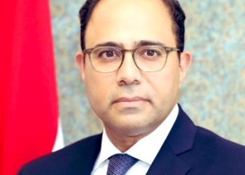 Egypt extends condolences to Jordan over victims of accident of Gaza aid truck