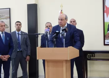 Egypt seeks to open more air routes in promising African market, says minister