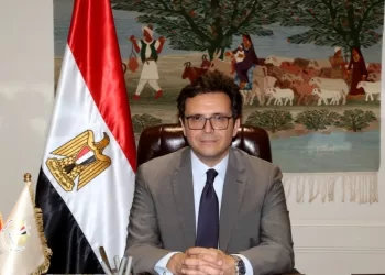 Sisi prioritises building national personality, protecting identity – min.