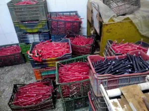 Intensive campaigns a way for food safety 4 - Egyptian Gazette Intensive campaigns a way for food safety 3 - Egyptian Gazette