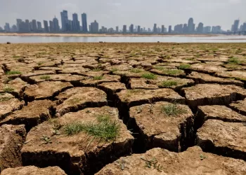 Egypt pioneer in fight against climate change in MENA region