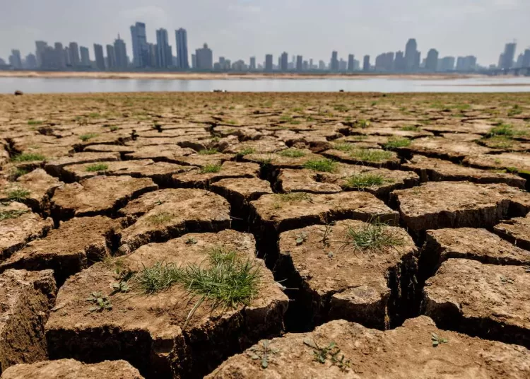 Egypt pioneer in fight against climate change in MENA region 1 - Egyptian Gazette