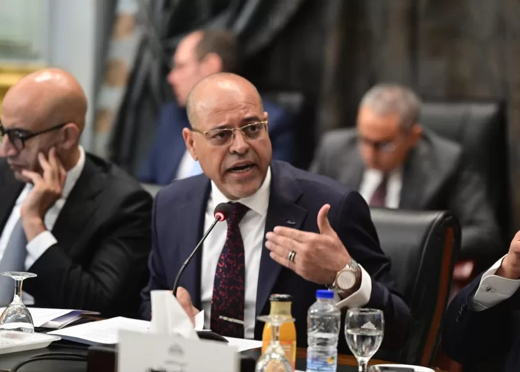 Labour min.: Top priority given to communication with expatriates, luring investments 1 - Egyptian Gazette