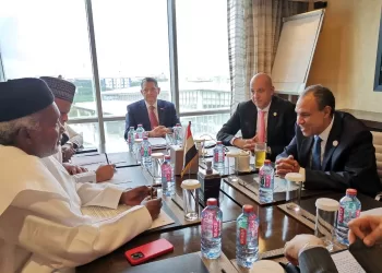 Egypt, Nigeria discuss means to boost bilateral ties