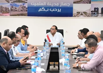 PM reviews situation of Ras el Hekma project