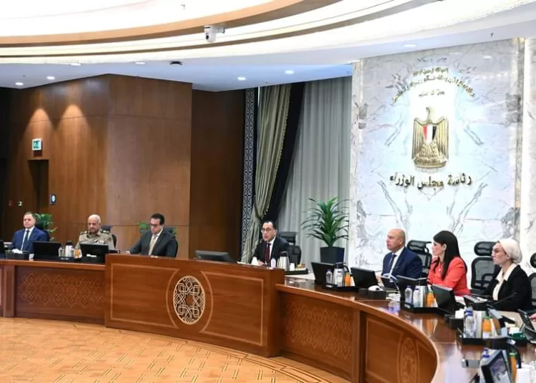 Madbouli urges launching National Strategy for Industry 1 - Egyptian Gazette