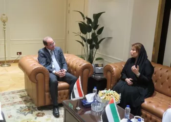 Finance Min.: We look forward to boosting UAE investments in Egypt