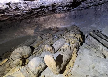 Family tombs bring out Aswan’s ancient secrets