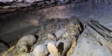 Family tombs bring out Aswan’s ancient secrets