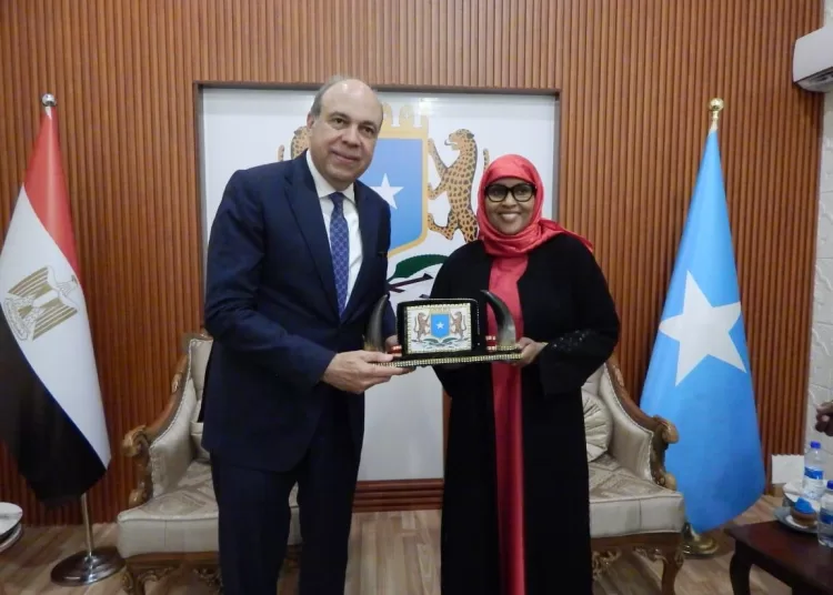 EgyptAir expands African network with new routes to Djibouti, Mogadishu 2 - Egyptian Gazette EgyptAir expands African network with new routes to Djibouti, Mogadishu 1 - Egyptian Gazette