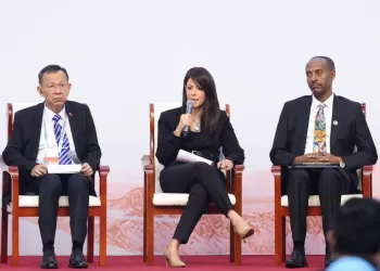 Egypt working to increase green projects, stimulate private sector involvement in development