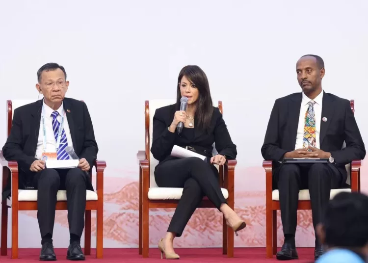 Egypt working to increase green projects, stimulate private sector involvement in development 1 - Egyptian Gazette