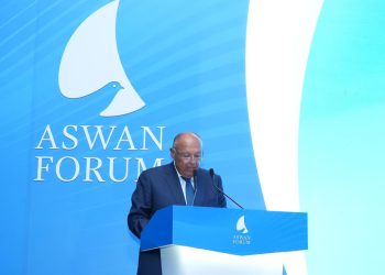 FM: Serious political solution in Sudan should be based on Sudanese vision