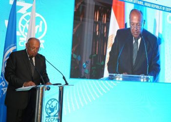 FM affirms Egypt’s keenness on mediation, disputes settlement efforts