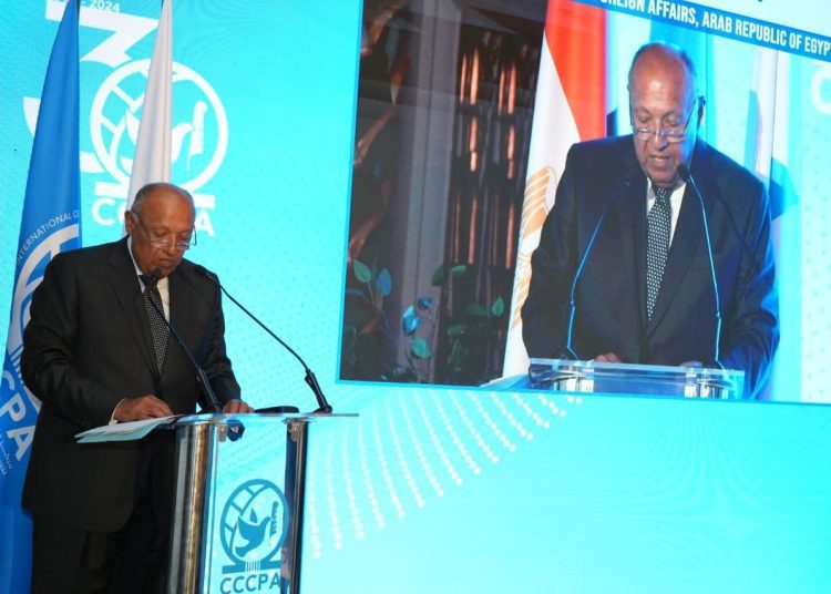 FM affirms Egypt's keenness on mediation, disputes settlement efforts 1 - Egyptian Gazette