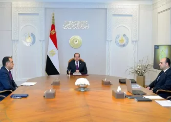 Sisi directs offering necessary facilities to lure investments to SCZone