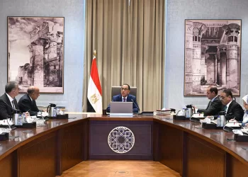 PM: Presidential directives to install further capacities of renewable energy to power grid