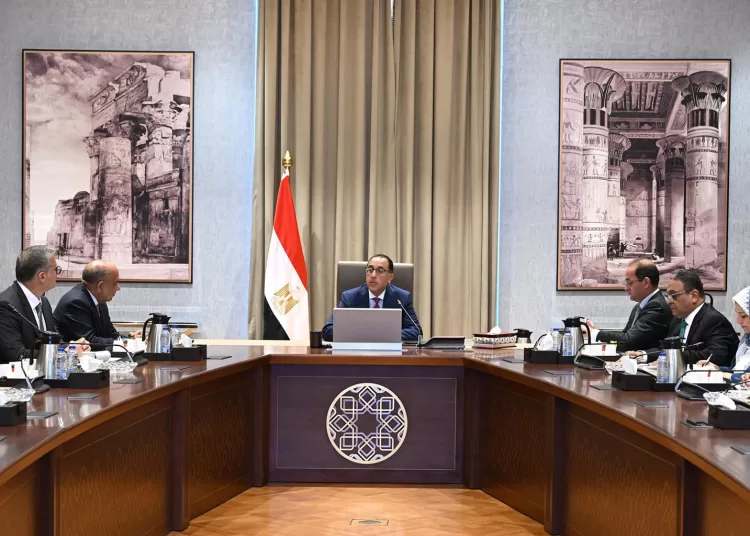 PM: Presidential directives to install further capacities of renewable energy to power grid 11 - Egyptian Gazette