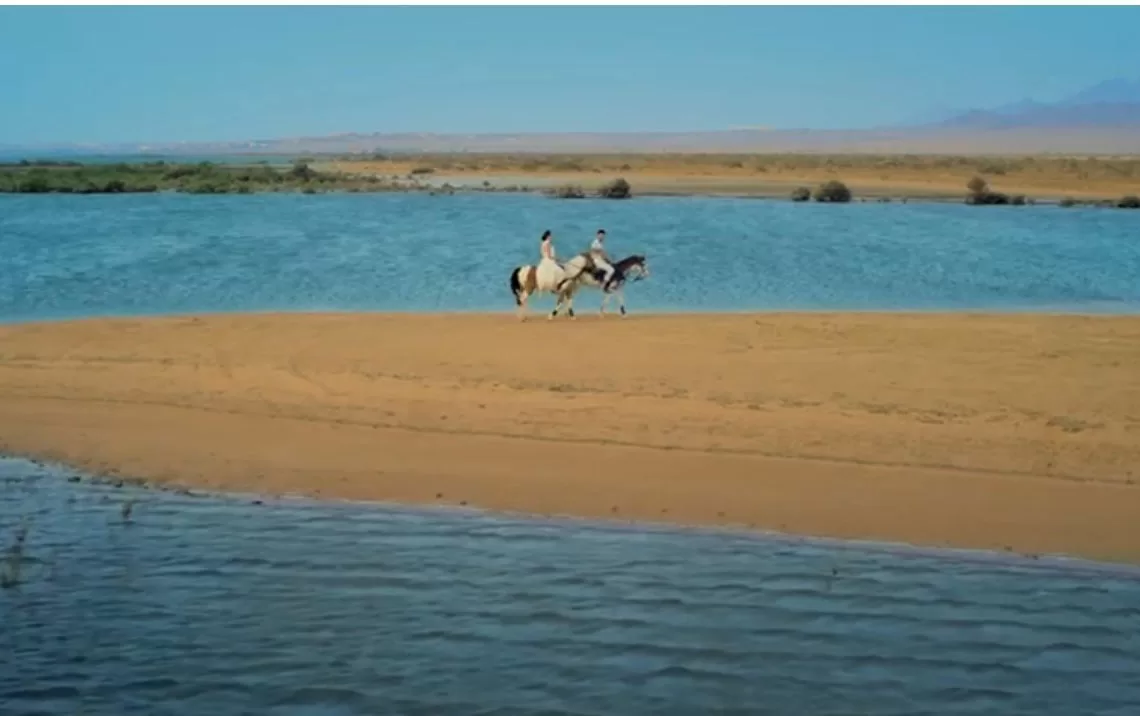 A shot captured from the promotional campaign of 'Egypt Alive 365’.