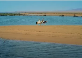 ‘Egypt Alive 365’: A fresh drive to promote tourism