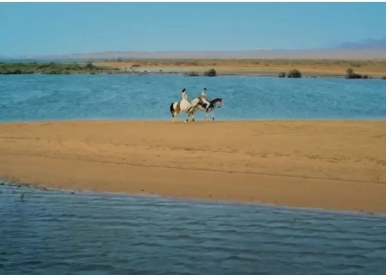 A shot captured from the promotional campaign of 'Egypt Alive 365’.