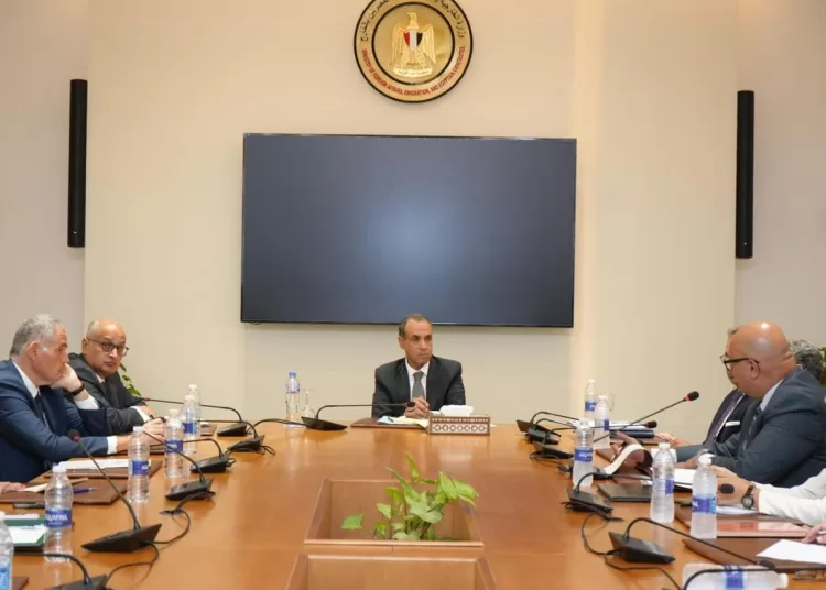 Egypt pays attention to supporting human rights, achieving social justice: FM 1 - Egyptian Gazette