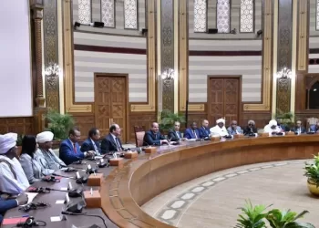 Sisi: Egypt spares no effort to close Sudanese ranks, end war