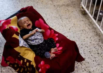 Gaza on the brink of losing entire generation of children, UNRWA warns, urging ceasefire