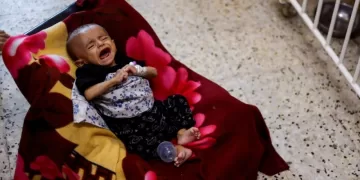 Gaza on the brink of losing entire generation of children, UNRWA warns, urging ceasefire 1 - Egyptian Gazette Gaza on the brink of losing entire generation of children, UNRWA warns, urging ceasefire