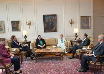 Egypt spared no effort to guarantee flow of humanitarian aid to Gaza: FM