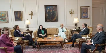 Egypt spared no effort to guarantee flow of humanitarian aid to Gaza: FM 1 - Egyptian Gazette Egypt spared no effort to guarantee flow of humanitarian aid to Gaza: FM