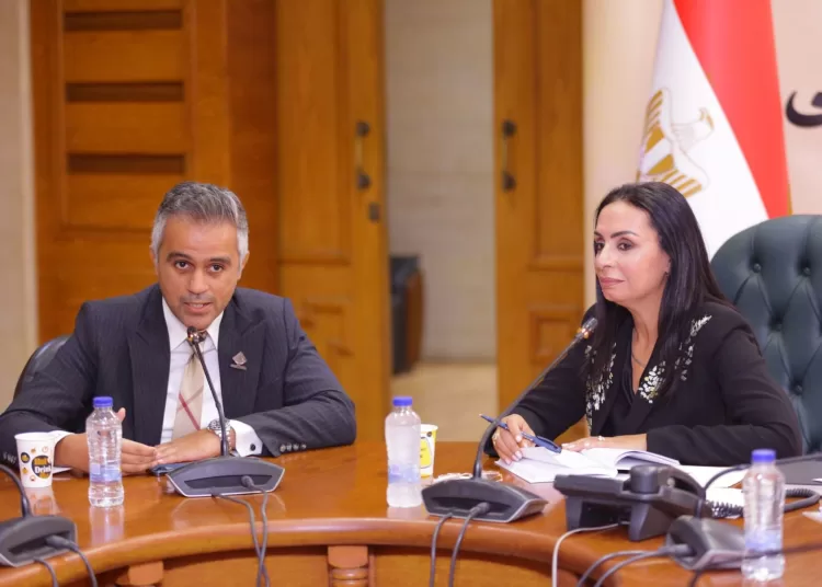Solidarity Ministry refines cash support system 1 - Egyptian Gazette