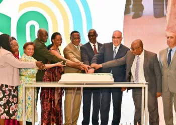 Irrigation minister says Egypt willing to share expertise with Nile Basin countries