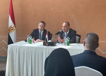 FM says pays big attention to Egyptian communities abroad