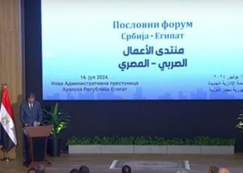 Serbian president says looking forward to creating fruitful work environment with Egypt