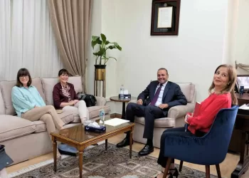 AL, Ireland discuss latest political developments in region