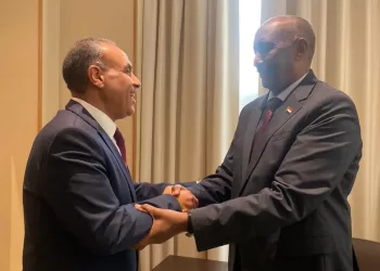 FM tells al-Burhan: Egypt is to continue helping Sudanese people to overcome current crisis