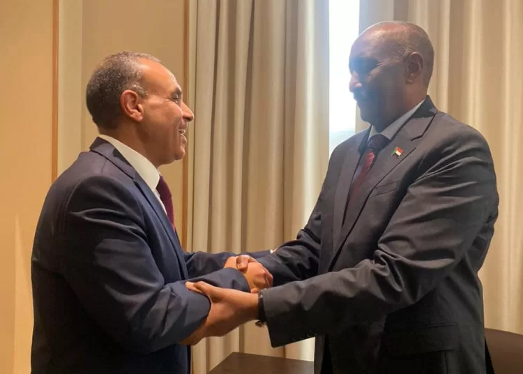 FM tells al-Burhan: Egypt is to continue helping Sudanese people to overcome current crisis 1 - Egyptian Gazette