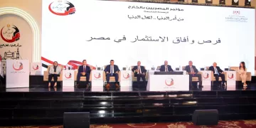 FM: Egyptians abroad part of Egypt’s power