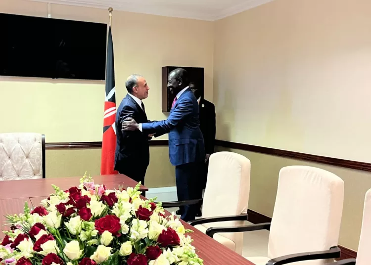 Egypt's FM conveys Sisi's verbal message to Kenyan president 1 - Egyptian Gazette