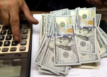 Egyptian pound stabilizes versus US dollar