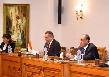 FM asserts Egypt’s keenness on boosting Sri Lankan investments in Egypt